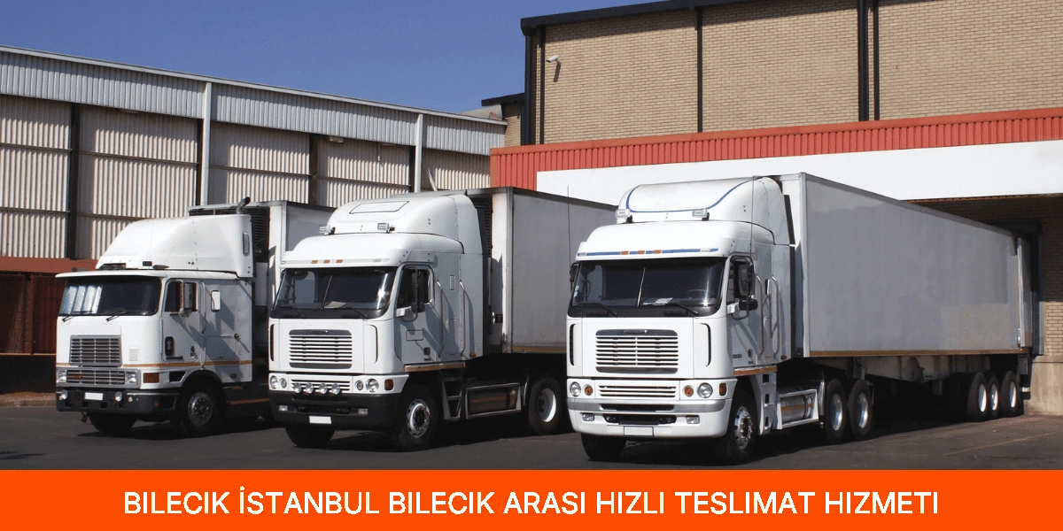 İstanbul Bilecik Arası Hızlı Teslimat Hizmeti